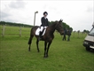 Equestrian Jobseeker Profile Photo
