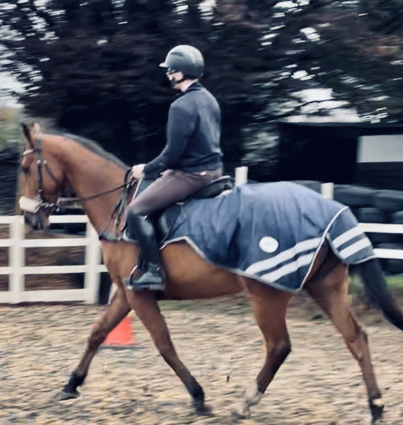 Equestrian Jobseeker Photo: