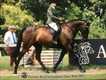 Equestrian Jobseeker Profile Photo