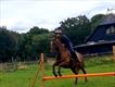 Equestrian Jobseeker Profile Photo