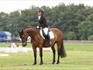 Equestrian Jobseeker Profile Photo