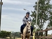 Equestrian Employer Profile Photo