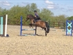 Equestrian Jobseeker Profile Photo