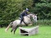 Equestrian Jobseeker Profile Photo