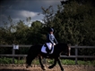 Equestrian Jobseeker Profile Photo