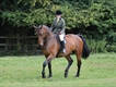 Equestrian Jobseeker Profile Photo