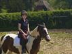Equestrian Jobseeker Profile Photo