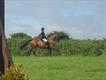 Equestrian Jobseeker Profile Photo