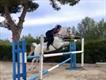 Equestrian Jobseeker Profile Photo