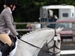Equestrian Jobseeker Profile Photo
