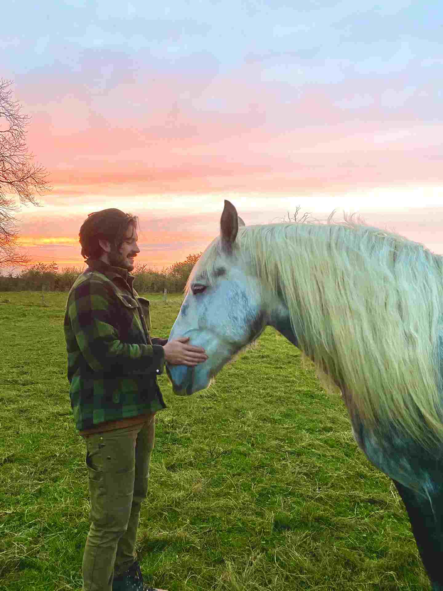 Equestrian Jobseeker Photo: