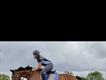 Equestrian Jobseeker Profile Photo