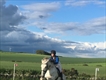 Equestrian Jobseeker Profile Photo