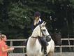 Equestrian Jobseeker Profile Photo