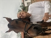 Equestrian Jobseeker Profile Photo
