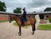 Equestrian Jobseeker Profile Photo