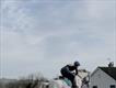 Equestrian Jobseeker Profile Photo