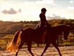 Equestrian Employer Profile Photo