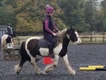 Equestrian Jobseeker Profile Photo