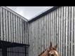 Equestrian Jobseeker Profile Photo