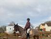 Equestrian Jobseeker Profile Photo