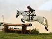 Equestrian Jobseeker Profile Photo
