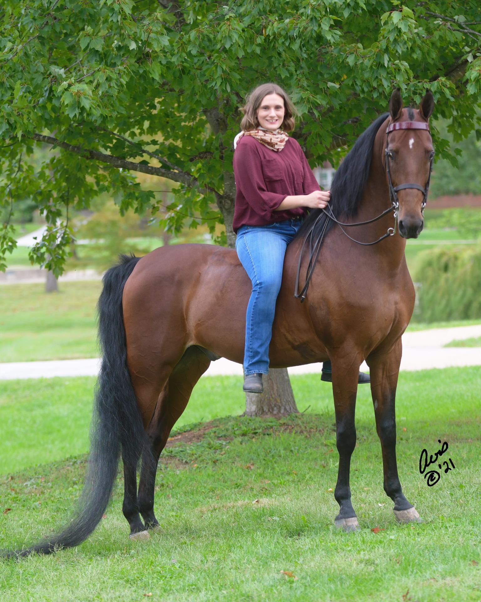 Equestrian Jobseeker Photo: Abigail Keeney on Tom (Winsdown Bridgeworks) photo credits: Avis Girdler