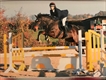 Equestrian Jobseeker Profile Photo