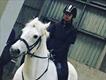 Equestrian Jobseeker Profile Photo