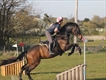 Equestrian Jobseeker Profile Photo