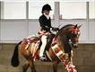 Equestrian Jobseeker Profile Photo
