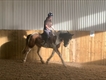 Equestrian Jobseeker Profile Photo