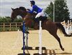 Equestrian Jobseeker Profile Photo