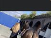 Equestrian Jobseeker Profile Photo