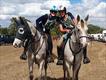 Equestrian Employer Profile Photo