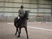Equestrian Jobseeker Profile Photo
