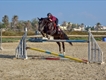 Equestrian Jobseeker Profile Photo
