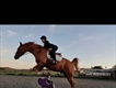 Equestrian Jobseeker Profile Photo