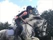 Equestrian Jobseeker Profile Photo
