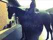 Equestrian Jobseeker Profile Photo