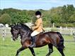 Equestrian Jobseeker Profile Photo