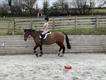 Equestrian Jobseeker Profile Photo