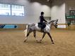 Equestrian Jobseeker Profile Photo