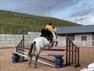 Equestrian Jobseeker Profile Photo