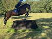 Equestrian Jobseeker Profile Photo