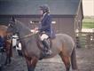 Equestrian Jobseeker Profile Photo