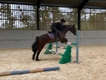 Equestrian Jobseeker Profile Photo