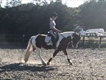 Equestrian Jobseeker Profile Photo