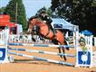 Equestrian Jobseeker Profile Photo