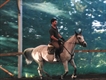 Equestrian Jobseeker Profile Photo